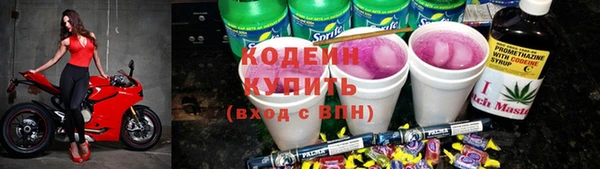 ПСИЛОЦИБИНОВЫЕ ГРИБЫ Верея