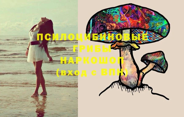 ПСИЛОЦИБИНОВЫЕ ГРИБЫ Верея