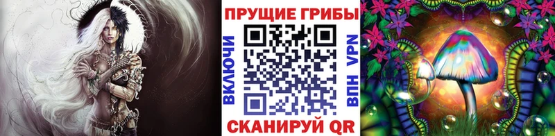 Галлюциногенные грибы мицелий  магазин  наркотиков  Славянск-на-Кубани 